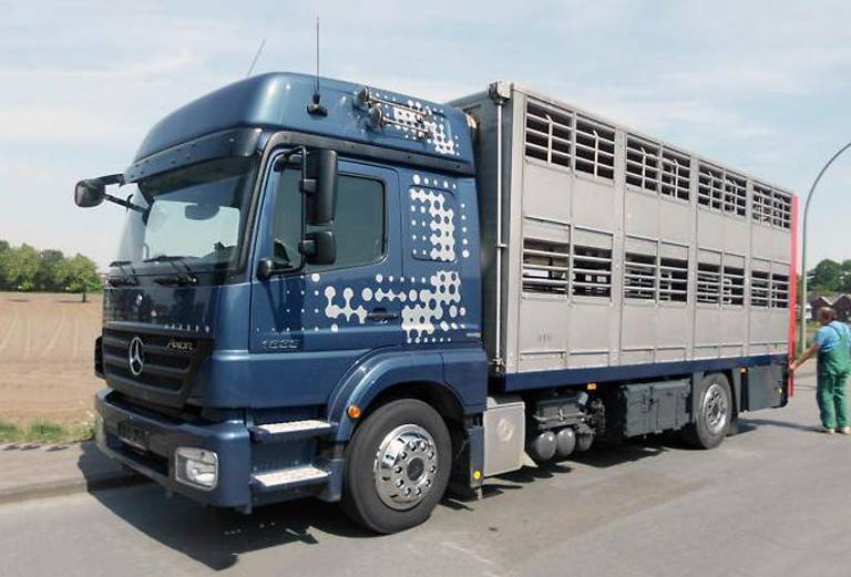 Прицеп для перевозки крупного рогатого скота из Россия, Астрахани в Туркмения, Ашгабад