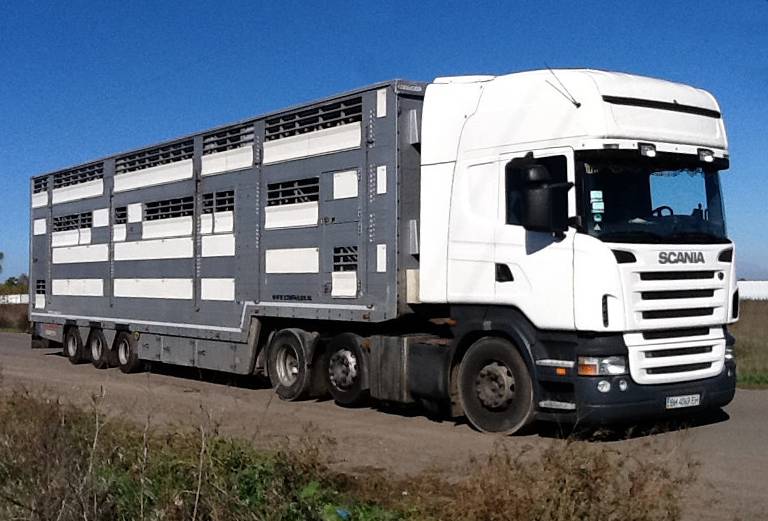 Прицеп для перевозки крупного рогатого скота из Россия, Астрахани в Туркмения, Ашхабад