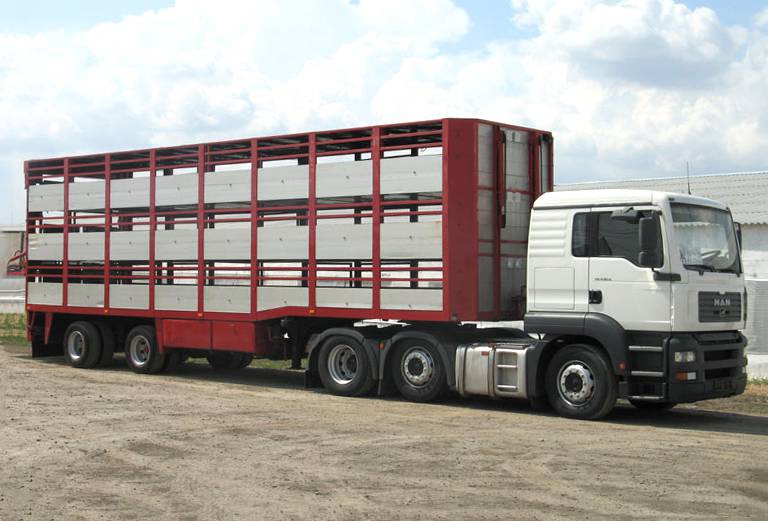 Заказать скотовоз для крупного рогатого скота из Ахтубинска в Г. Астрахань
